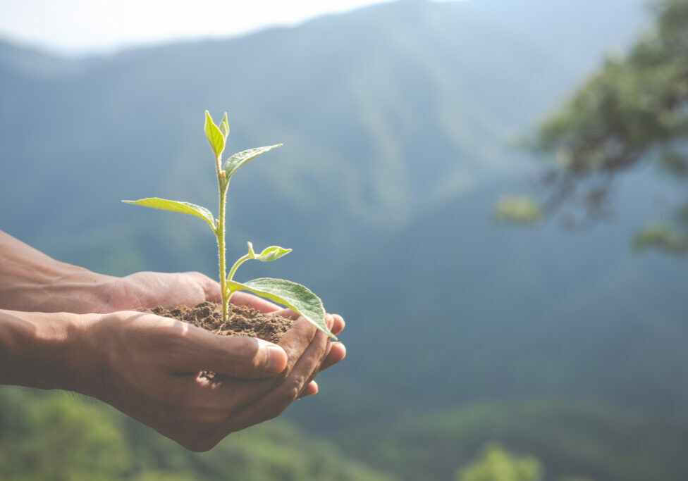 Concept of environmental conservation in the garden for children. Concept of environmental conservation in the garden for children.